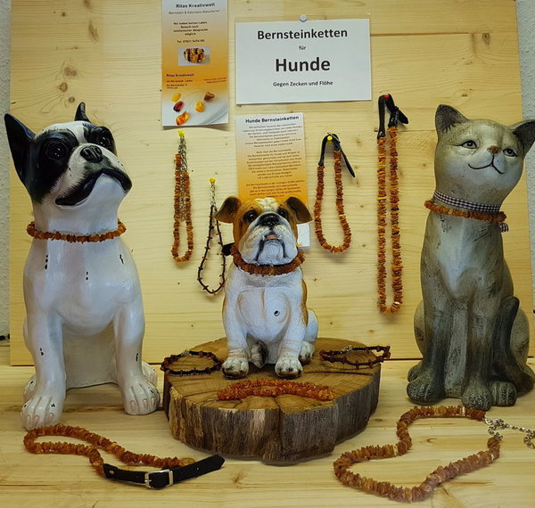 Hunde Bernsteinkette mit Lederschließe